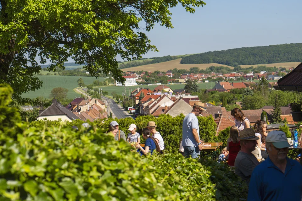 Otevřené sklepy 2018